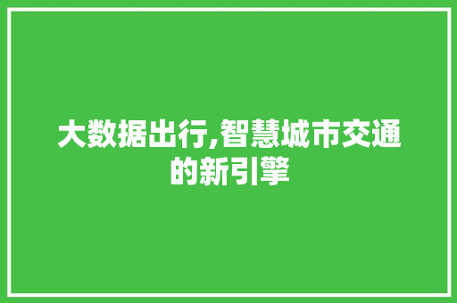 大数据出行,智慧城市交通的新引擎