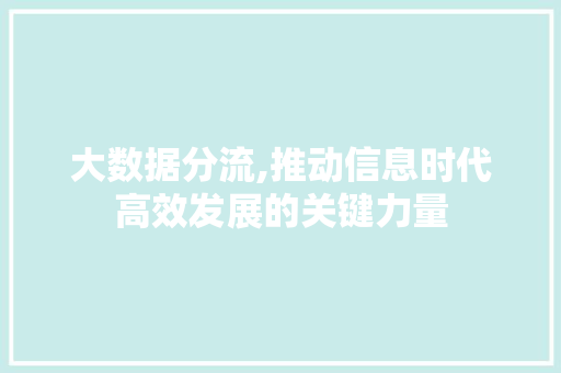 大数据分流,推动信息时代高效发展的关键力量