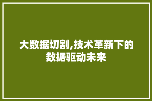 大数据切割,技术革新下的数据驱动未来