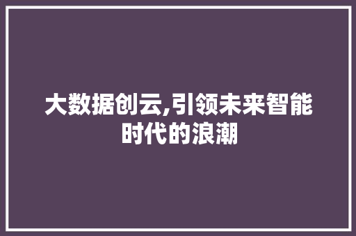 大数据创云,引领未来智能时代的浪潮