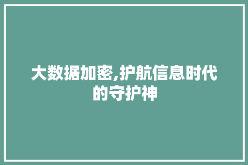 大数据加密,护航信息时代的守护神