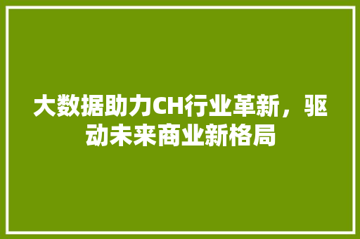 大数据助力CH行业革新，驱动未来商业新格局