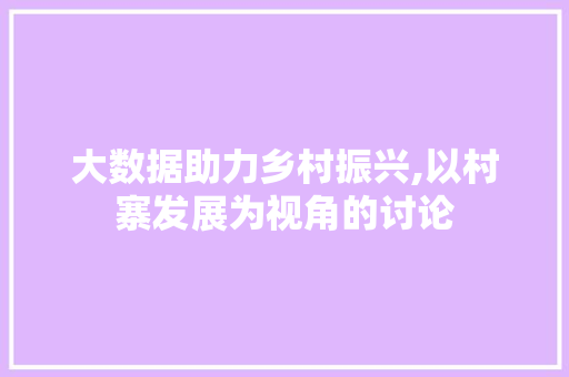 大数据助力乡村振兴,以村寨发展为视角的讨论