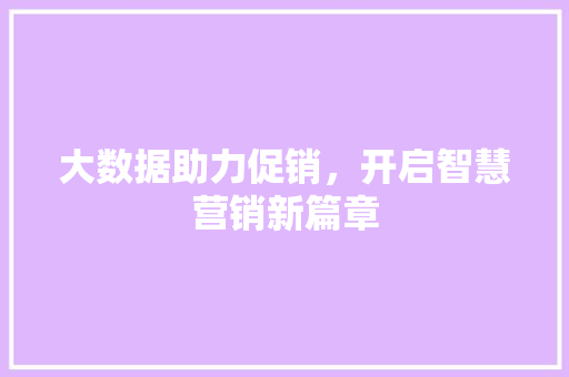 大数据助力促销，开启智慧营销新篇章