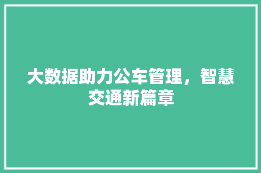 大数据助力公车管理，智慧交通新篇章 NoSQL