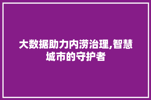 大数据助力内涝治理,智慧城市的守护者