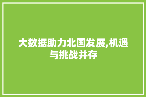 大数据助力北国发展,机遇与挑战并存