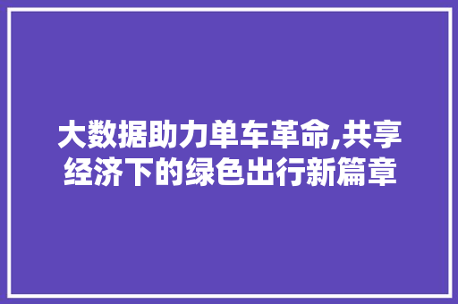 大数据助力单车革命,共享经济下的绿色出行新篇章