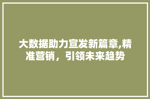 大数据助力宣发新篇章,精准营销，引领未来趋势