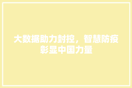 大数据助力封控，智慧防疫彰显中国力量