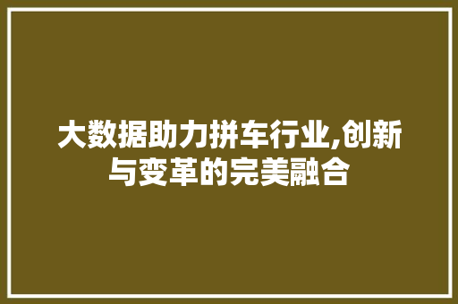 大数据助力拼车行业,创新与变革的完美融合