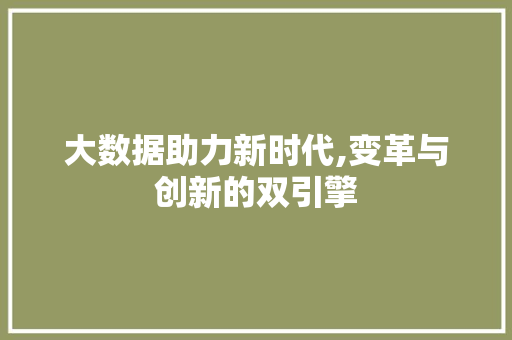 大数据助力新时代,变革与创新的双引擎