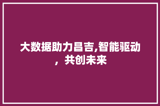 大数据助力昌吉,智能驱动，共创未来