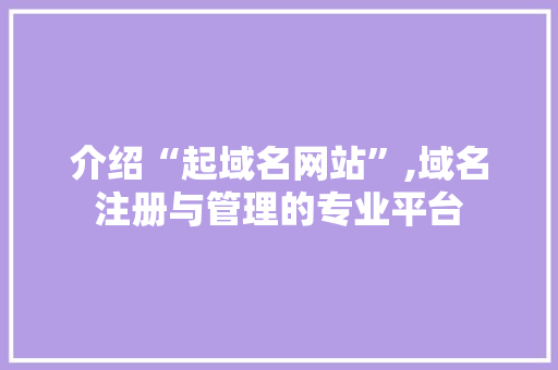 介绍“起域名网站”,域名注册与管理的专业平台