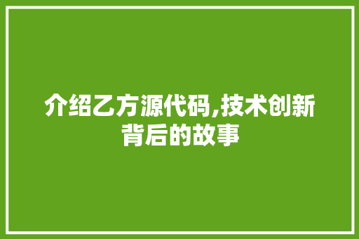 介绍乙方源代码,技术创新背后的故事