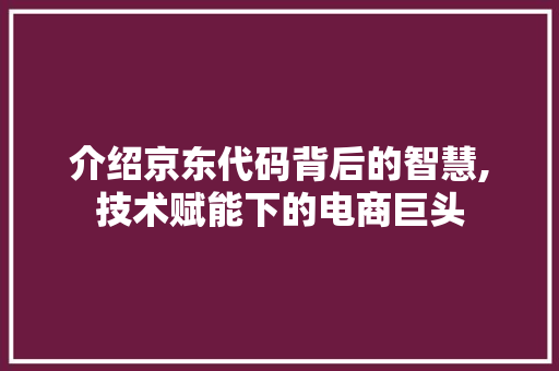 介绍京东代码背后的智慧,技术赋能下的电商巨头