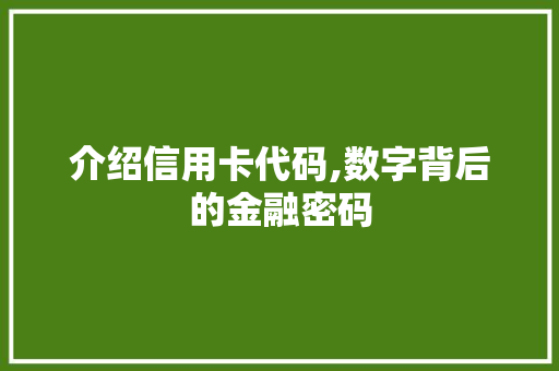 介绍信用卡代码,数字背后的金融密码