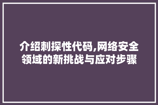 介绍刺探性代码,网络安全领域的新挑战与应对步骤