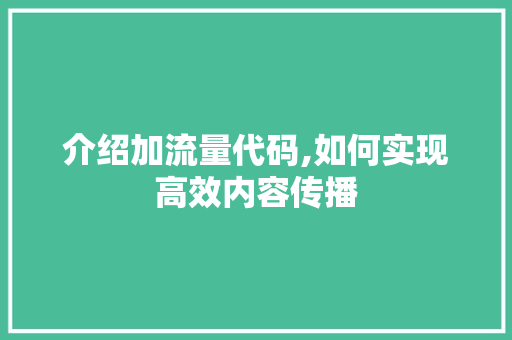 介绍加流量代码,如何实现高效内容传播