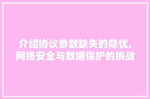 介绍协议参数缺失的隐忧,网络安全与数据保护的挑战