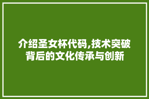 介绍圣女杯代码,技术突破背后的文化传承与创新