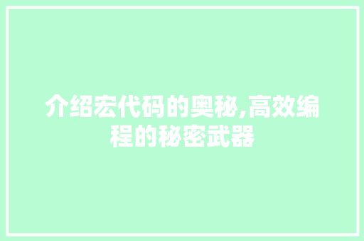 介绍宏代码的奥秘,高效编程的秘密武器