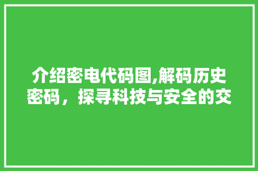 介绍密电代码图,解码历史密码，探寻科技与安全的交织