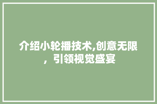 介绍小轮播技术,创意无限，引领视觉盛宴