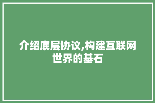 介绍底层协议,构建互联网世界的基石