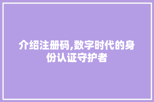 介绍注册码,数字时代的身份认证守护者