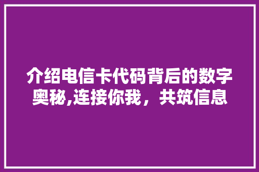 介绍电信卡代码背后的数字奥秘,连接你我，共筑信息时代