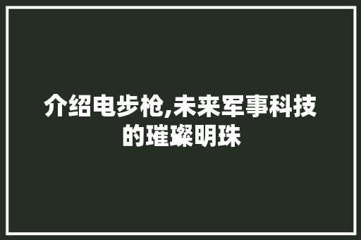 介绍电步枪,未来军事科技的璀璨明珠