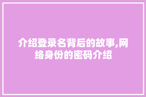 介绍登录名背后的故事,网络身份的密码介绍