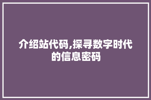 介绍站代码,探寻数字时代的信息密码