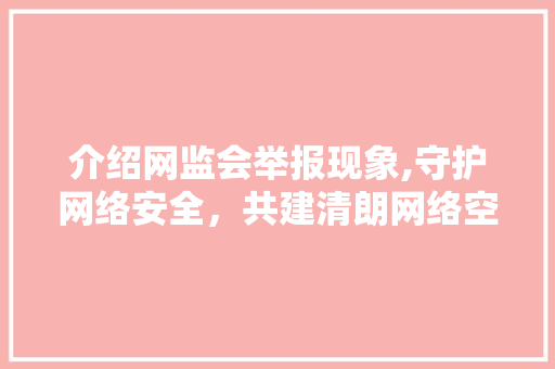 介绍网监会举报现象,守护网络安全，共建清朗网络空间