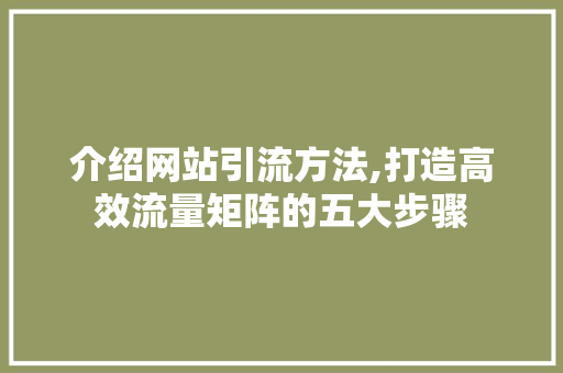 介绍网站引流方法,打造高效流量矩阵的五大步骤