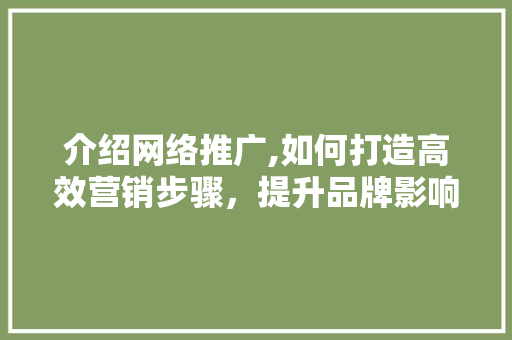 介绍网络推广,如何打造高效营销步骤，提升品牌影响力