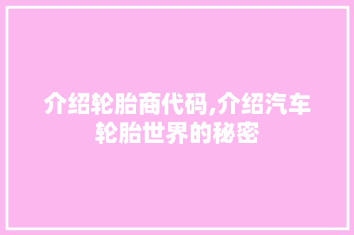 介绍轮胎商代码,介绍汽车轮胎世界的秘密