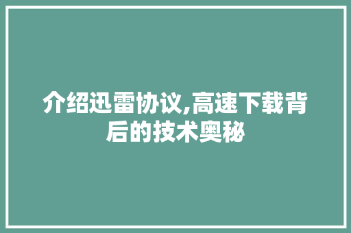 介绍迅雷协议,高速下载背后的技术奥秘