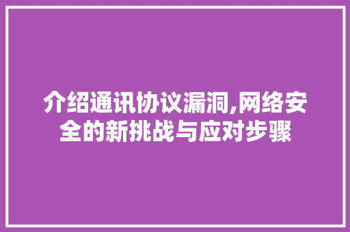 介绍通讯协议漏洞,网络安全的新挑战与应对步骤