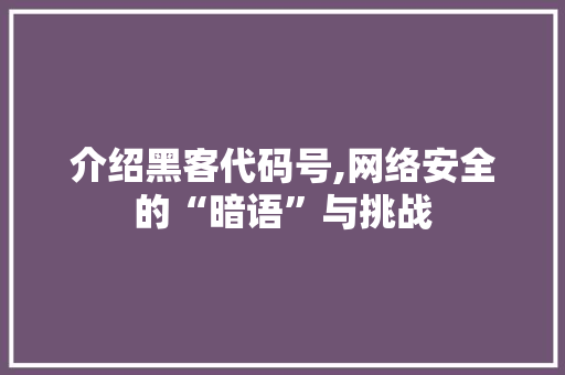 介绍黑客代码号,网络安全的“暗语”与挑战 jQuery