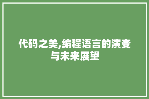 代码之美,编程语言的演变与未来展望