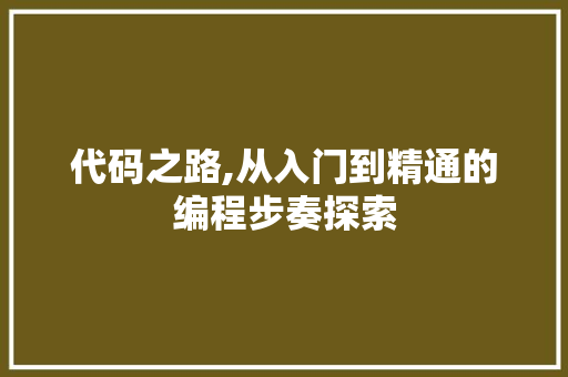 代码之路,从入门到精通的编程步奏探索