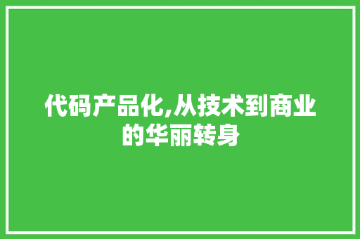 代码产品化,从技术到商业的华丽转身