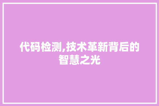 代码检测,技术革新背后的智慧之光