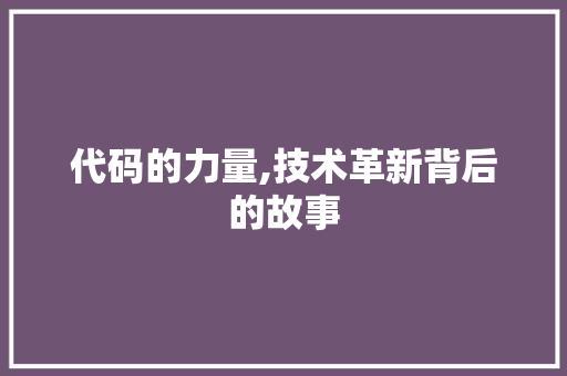 代码的力量,技术革新背后的故事 Java