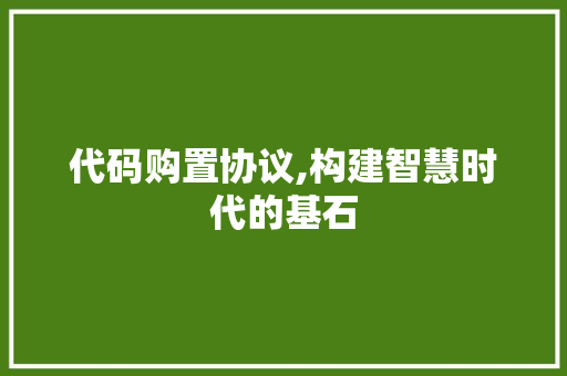 代码购置协议,构建智慧时代的基石