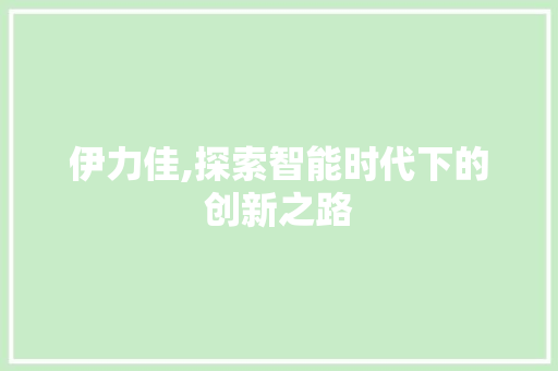 伊力佳,探索智能时代下的创新之路