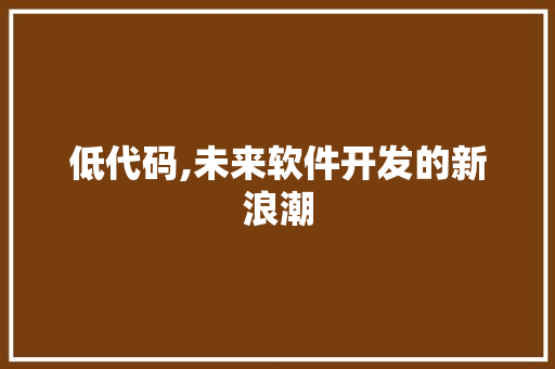 低代码,未来软件开发的新浪潮 Python