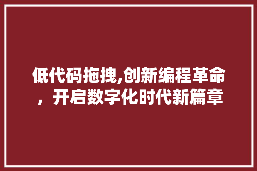 低代码拖拽,创新编程革命，开启数字化时代新篇章